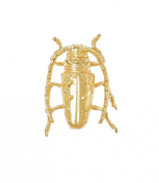 Beetle brooch