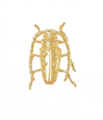 Beetle brooch